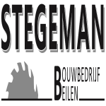 logo1 scherpe punten